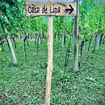 Minicottage Casa De Lipa * Kostanjevica na Krki