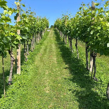 Minicottage Casa De Lipa