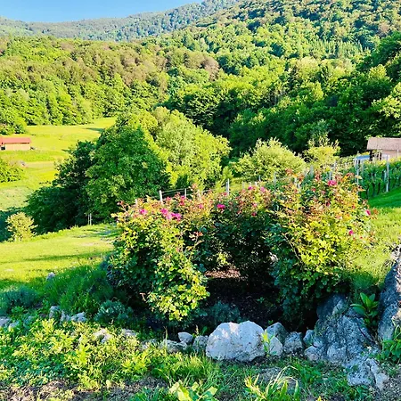 Minicottage Casa De Lipa Holiday home