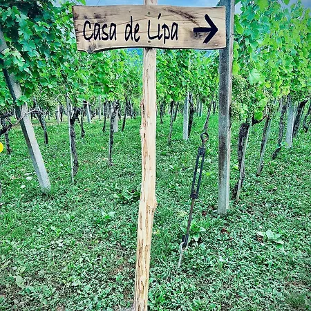 Minicottage Casa De Lipa * Kostanjevica na Krki