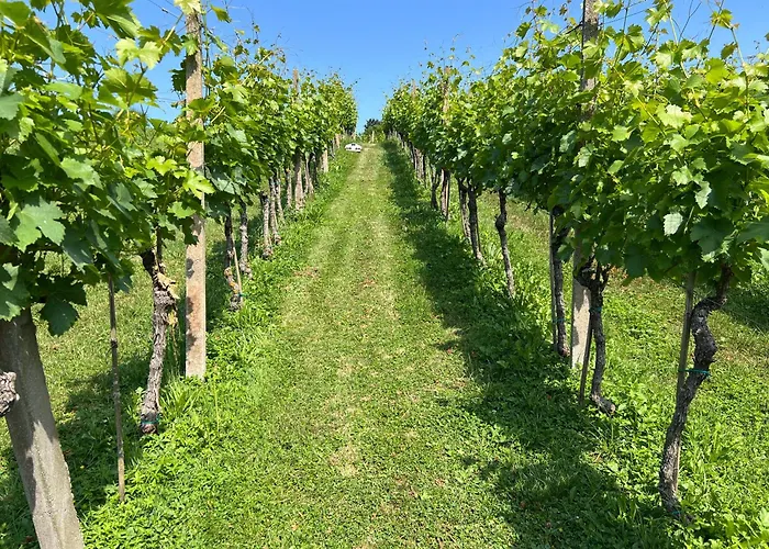 Minicottage Casa De Lipa