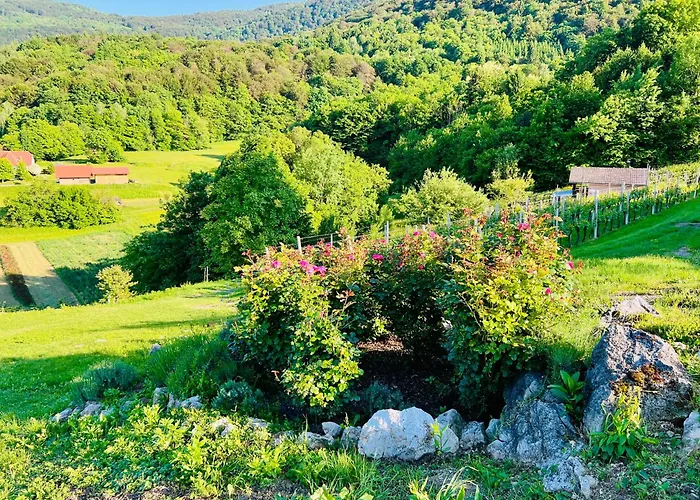 Minicottage Casa De Lipa Prázdninový dům