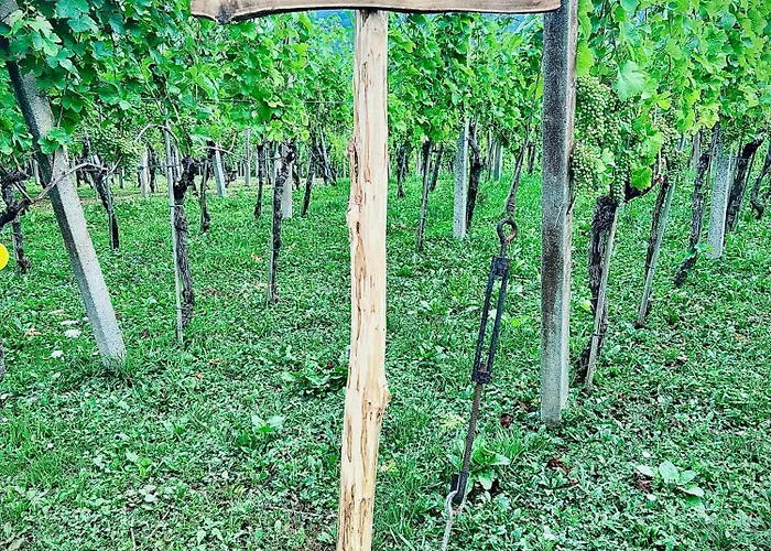 Minicottage Casa De Lipa * Kostanjevica na Krki